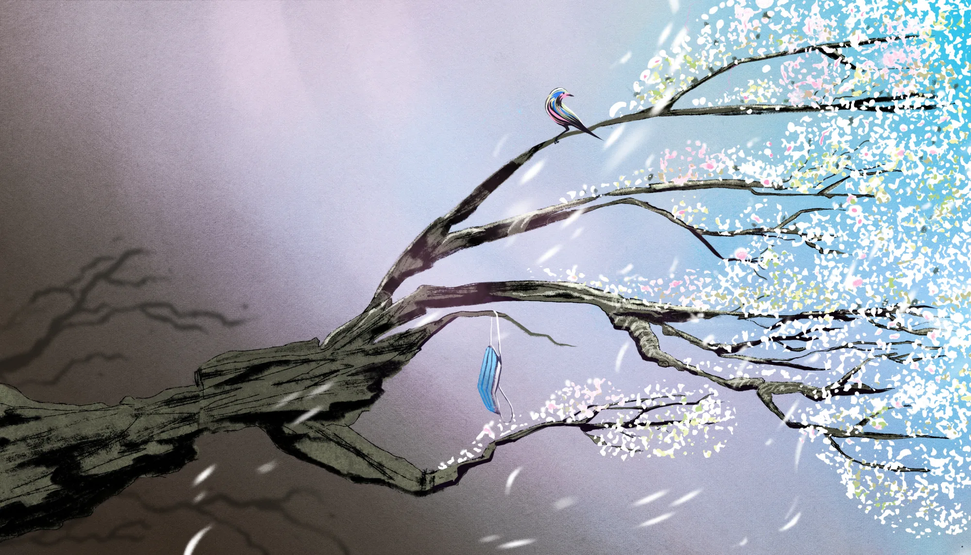 The New Yorker — 3